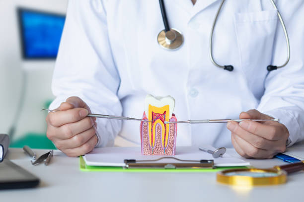 Best Emergency Care for Gum Disease in Leesburg, VA